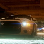 Need For Speed the Run 